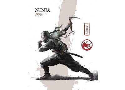 Ninjas 