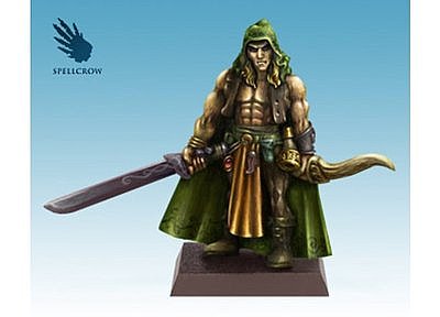 Wood Elf with a sword and bow 