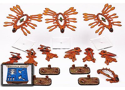 Premium Shaltari Starter Army Premium Shaltari Starter Army