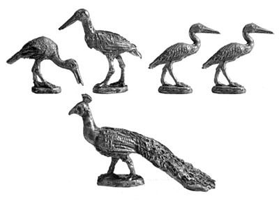 野生の鳥 
