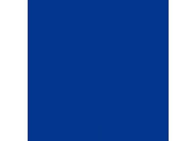 93041 Cygnar Base Blue 