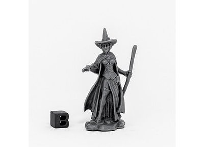 80060: Wild West Wizard Of Oz Wicked Witch 