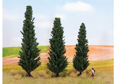 Cypresses 
