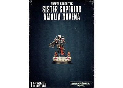 Sister Superior Amalia Novena 