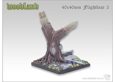 Woodland Bases - 40x40mm Flightbase 3 