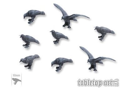 Ravens (8) 