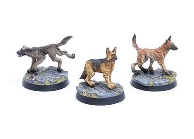 犬セット Ａ（シープドッグ） 