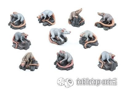 Giant Rats Pack (10) 