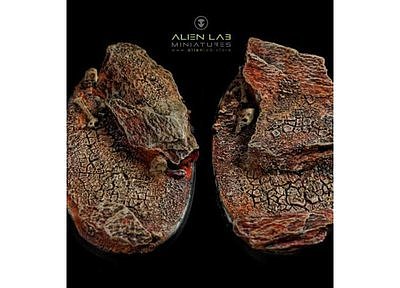 WASTELAND BASES OVAL 75MM 