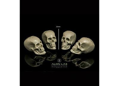 BIG SKULLS #2 