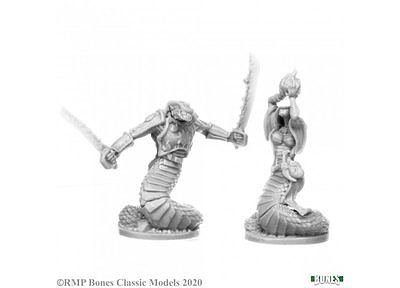 77693 Nagendra Leaders (2) 