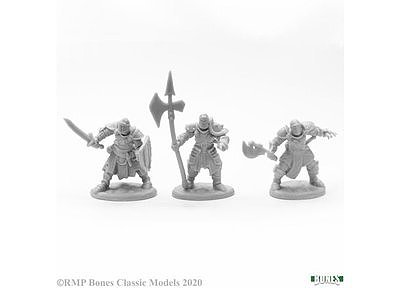 77673 Knights of the Realm (3) 