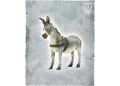 Donkey 
