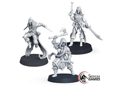 Assasin set 