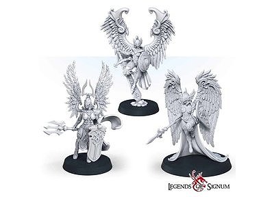 Valkyrie set 