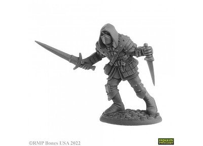 07060 Naus, Waghalter (Human Rogue) 