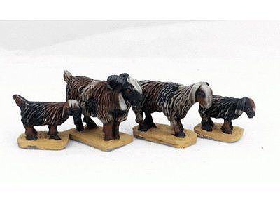 SSC24 Middle Eastern Goats (4) 