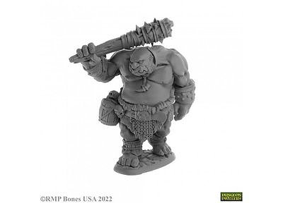07063 Ogre Guard 