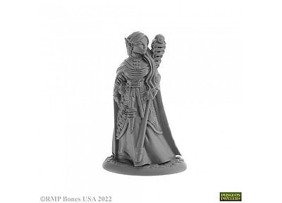 07028 Elf Wizard, Anthanelle 
