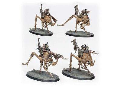 Ash Waste Nomads Dustback Helamites 