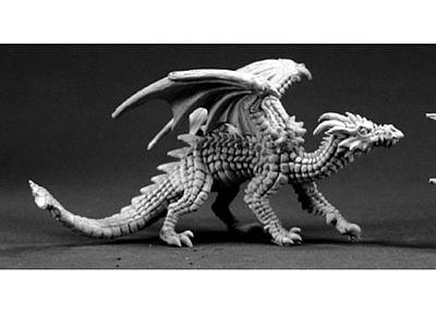 ファイヤー・ドラゴンの子供 