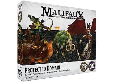Protected Domain 