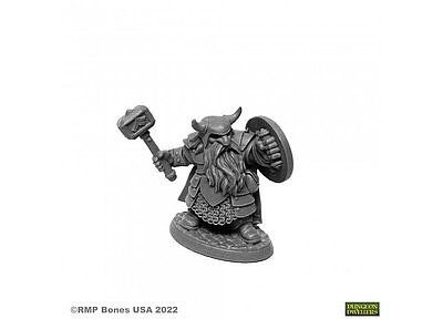 07011 Borin Ironbrow, Dwarf 