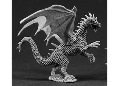 フォレスト・ドラゴンの子供 