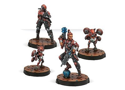 ノーマッド：トムキャット ２月新製品