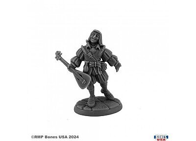 30191 Desmond Idlewild, Male Bard 