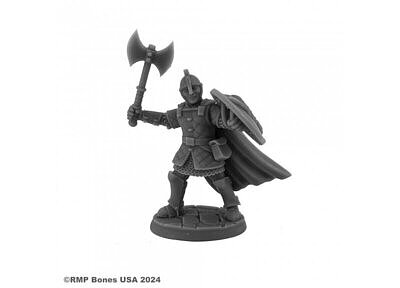 07148 Sir Rudolf, Heroic Fighter 