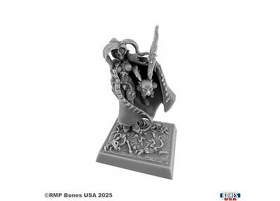 30228 Chaos Sorceress 