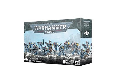 SPACE WOLVES: GREY HUNTERS 