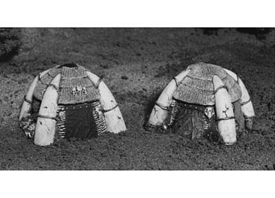 Barbarian Huts 