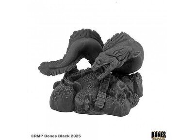 ジャイアント・モレイ・イール 