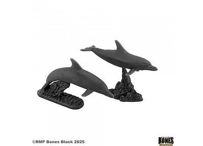 44213 Dolphins (2) 