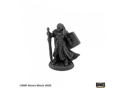 パラディン　ジェイダ 