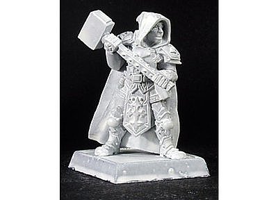 14269: Broderick Alt Pose, Crusaders Captain 
