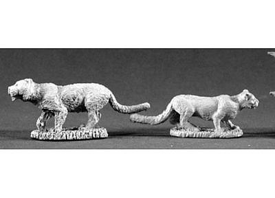 獰猛な動物たち 