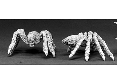 02417: Giant Spiders 