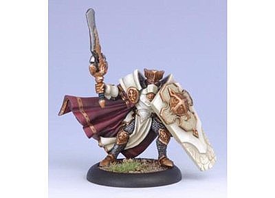 Protectorate Paladin of the Order of the Wall (Variant) 