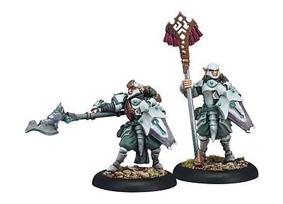 Retribution of Scyrah Houseguard Halberdier Officer and Standard Bearer Retribution of Scyrah Houseguard Halberdier Officer and Standard Bearer
