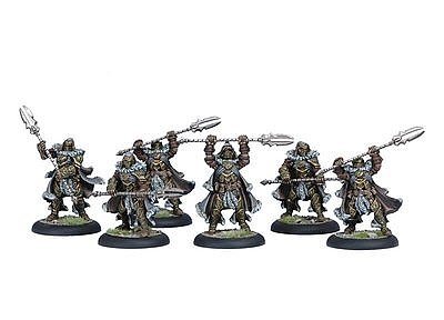 Circle Orboros: Wolves of Orboros Unit 