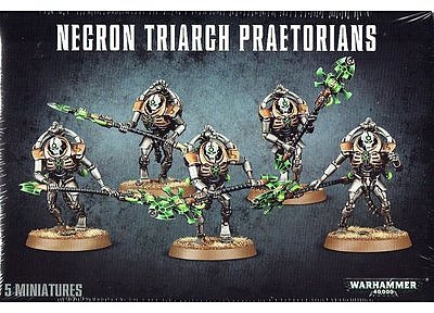 Necron Lychguard / Triarch Praetorians 