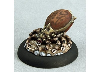 59022: Prarie Tick Queen 